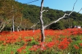 「もう10月」